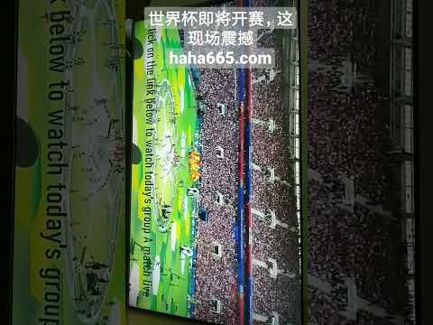 神秘逃逸传,奇殿下,第二季华丽,2026FIFA世界杯主办国,2026FIFA世界杯,2026,年世界杯赛程