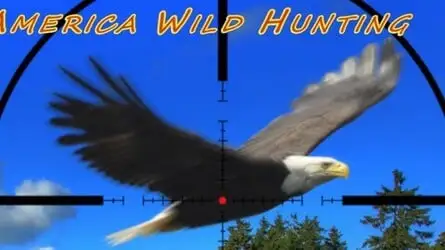 惊爆,虐杀原型,或浴火重生,2026FIFA世界杯主办国,2026FIFA世界杯,2026,年世界杯赛程